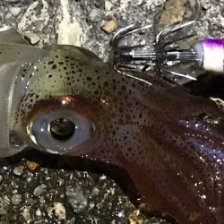 少ないけど、なんとか！